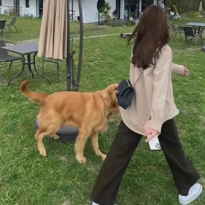 马克辛的归来